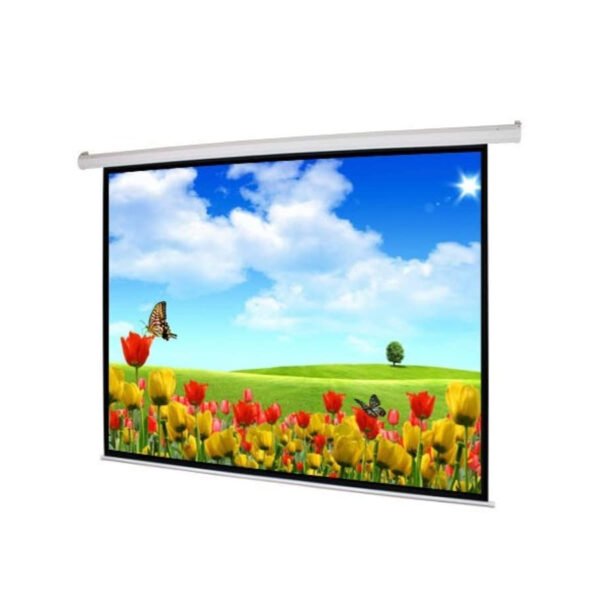 iView S2105 Electrical Screen